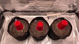 Starting a grow | indoor grow