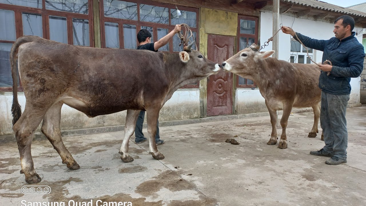 АНА ШВЕДО ВАТСАП 114008887 200044524. 5 марта 2026 г.