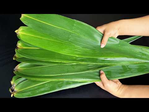 处理粽子叶用水煮就错了！教你正确方法，粽叶翠绿不开裂，清香味浓，太实用了 🌿 Try This Hack! 🌿 How to Prep Zongzi Leaves Without Tearing! 💡