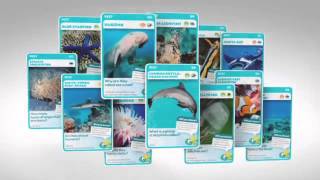 Aussie Animals How To screenshot 5