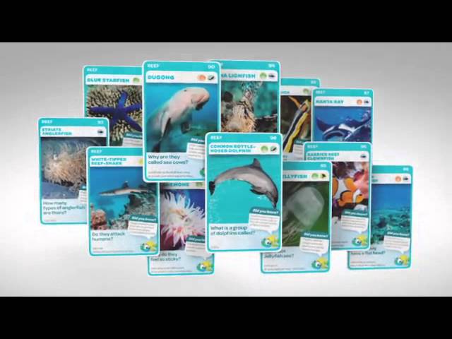 Aussie Animals How To - YouTube