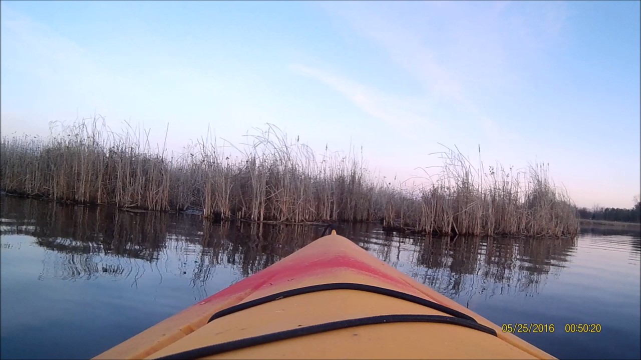 Chasing Beaver YouTube
