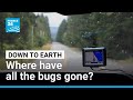 Count the dead bugs on your windshield and contribute to science • FRANCE 24 English