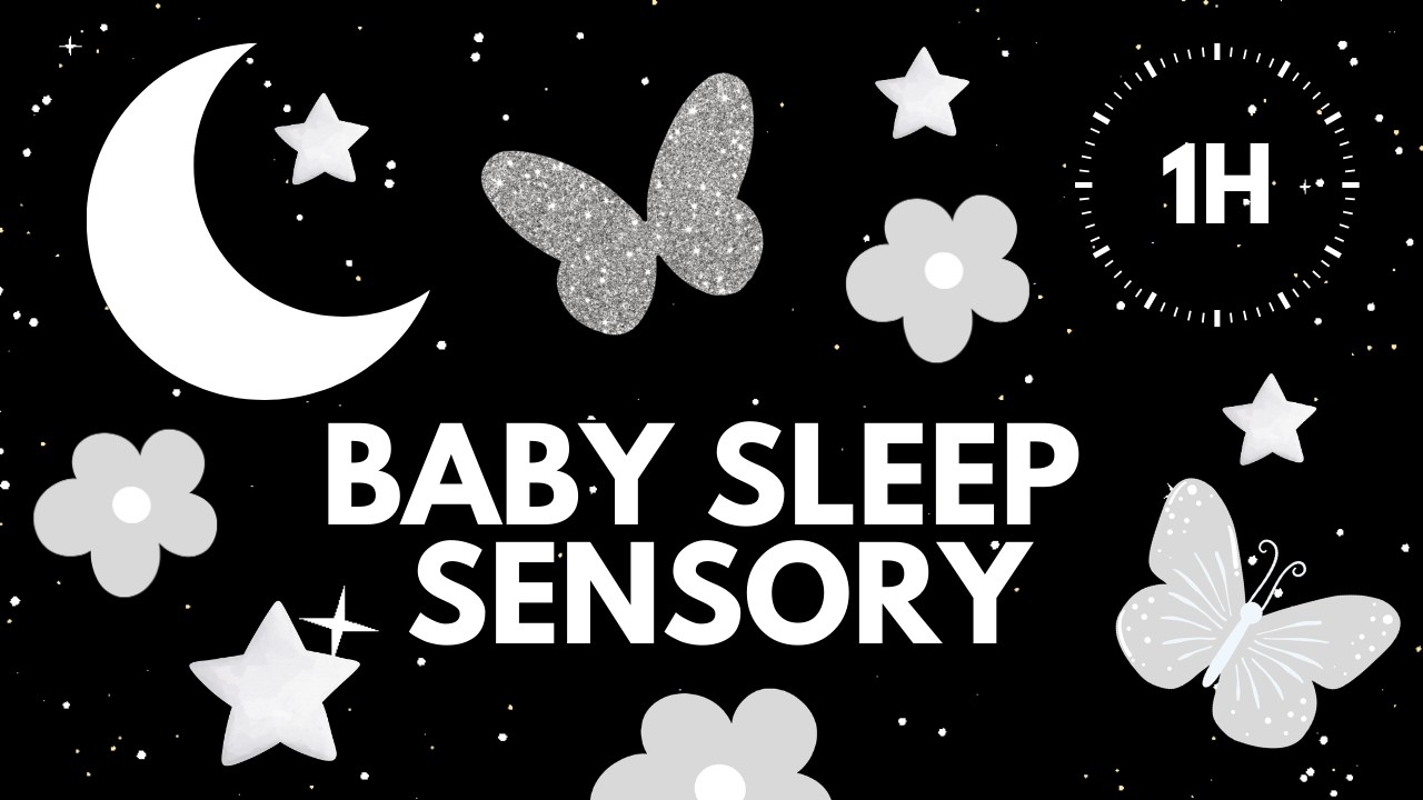Newborn Sleep Sensory 🤍🌙 | Night Grey Garden | Sleep Music | 1 Hour