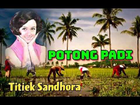 POTONG PADI - Titiek Sandhora