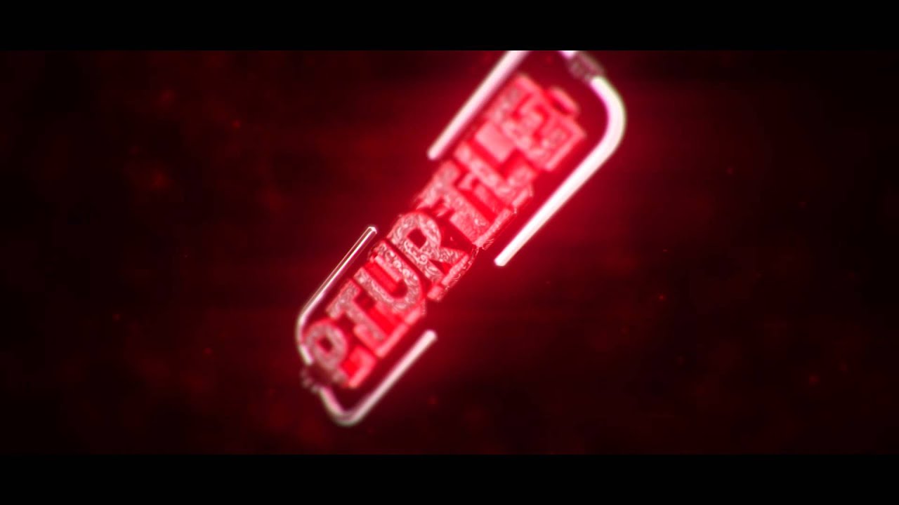 PTurtle Intro [Dual w/ MiguelArtz] | by Kiguru 獸