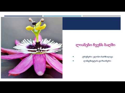 \"ლიანები ჩვენს ბაღში\"  - ტრენერი ელისო ხარჩილავა