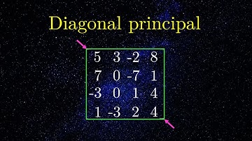 Diagonal principal | Traza | Diagonal secundaria de una matriz