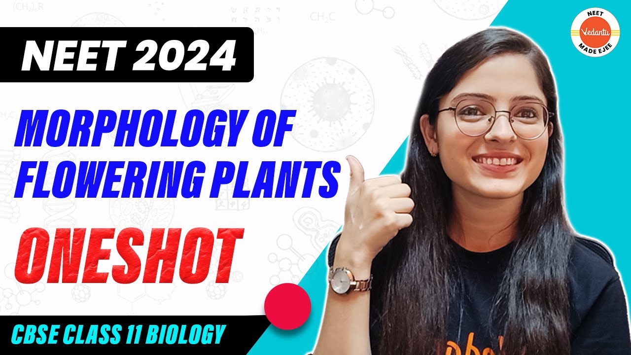 Morphology of Flowering Plants in One Shot | CBSE Class 11 Biology ...