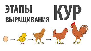 Действенные методы