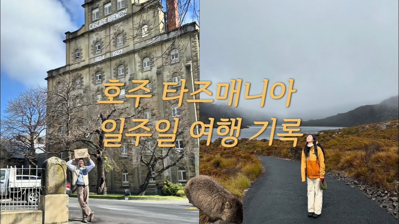 🇦🇺호주의 아름다운 섬, 타즈매니아 일주일 여행 기록!