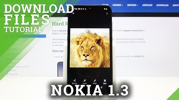 How to Find Downloaded Files in NOKIA 1.3 – Locate Downloaded Files
