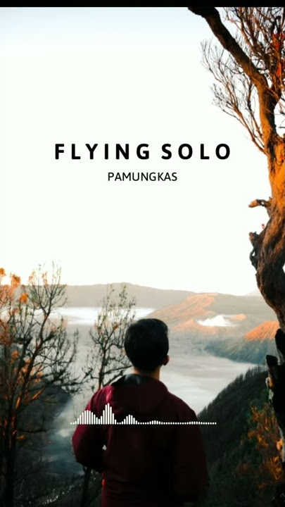 Flying Solo - Pamungkas | Story WhatsApp & SnapGram