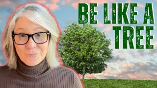 How To Manage The Sba