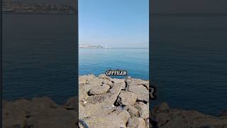 Tam Olarak Doğruyu Söylemişözler Şfet