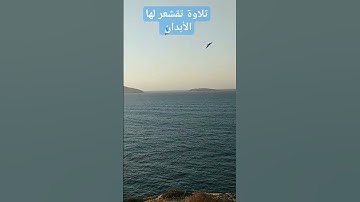 تلاوه خاشعة صوت رائع ماشاء الله الشيخ يوسف العيدروس