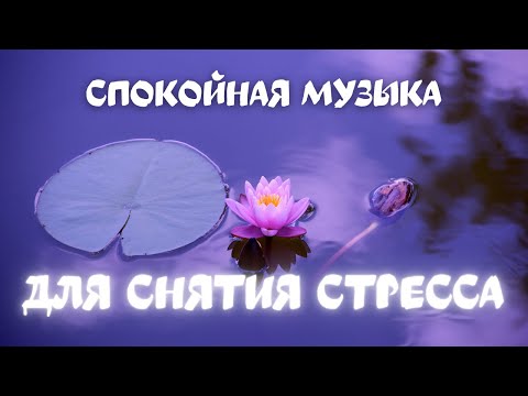 Спокойная музыка для снятия стресса слушать. Спокойная музыка для снятия стресса. Спокойная музыка для медитации и снятия стресса. Расслабляющая музыка для снятия стресса. Музыка для снятия стресса релакс.