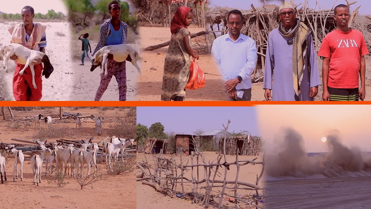 Abaar Daran Oo Ku habsatahay dadka degan Xeebaha Gobolada Awdal, Saaxil iyo Salal.