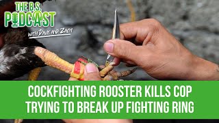 Cockfighting Rooster Kills Cop Trying to Break up Fighting Ring