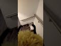 riding bee part 3