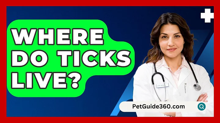Where Do Ticks Live? - PetGuide360.com