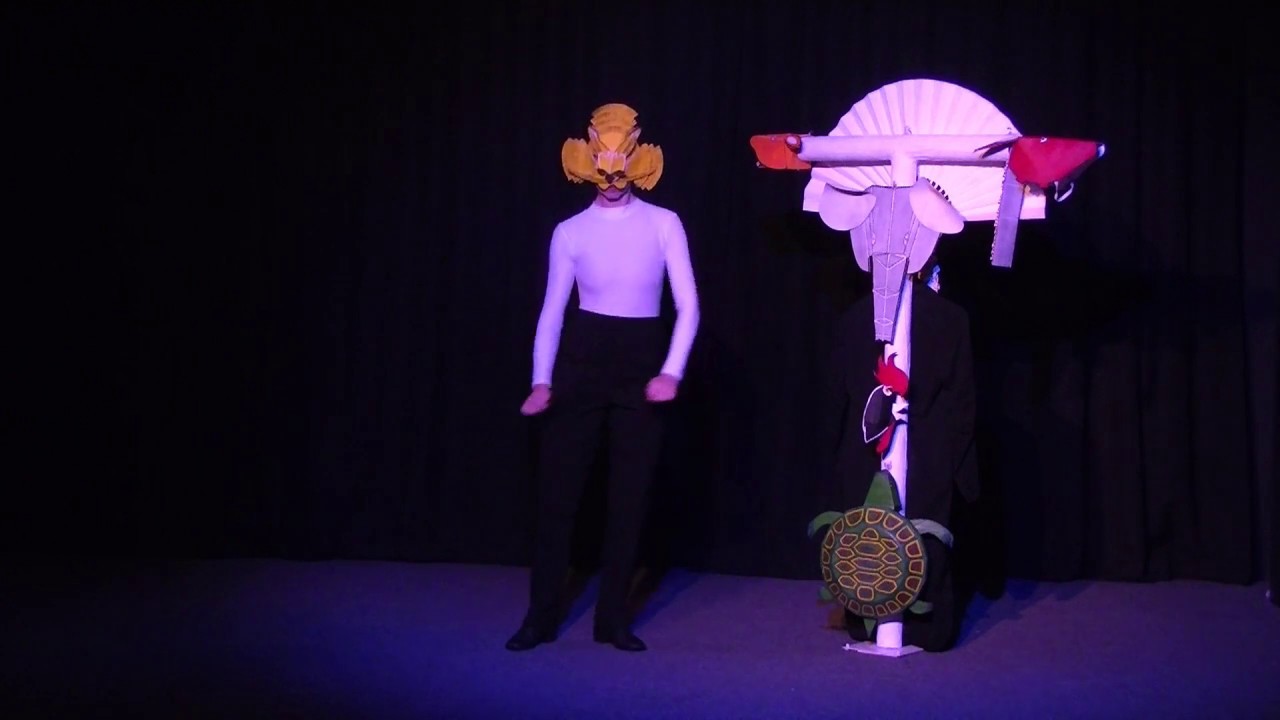 LE CARNAVAL DES ANIMAUX  YouTube