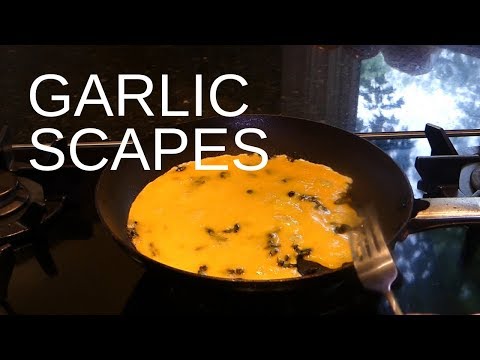 Garlic Scapes for Breakfast & Garlic Scape Powder