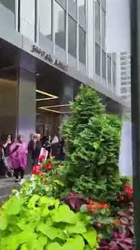 Heavy Thunderstorm | newyork Azadar Matam Kartay Hue | Labaik Ya Hussain