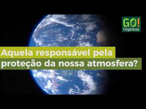 Vídeo: Como Preservar A Camada De Ozônio