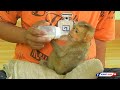 Poor Baby Monkey | Mom Feed Orphan Baby Monkey Drinking Milk First Time