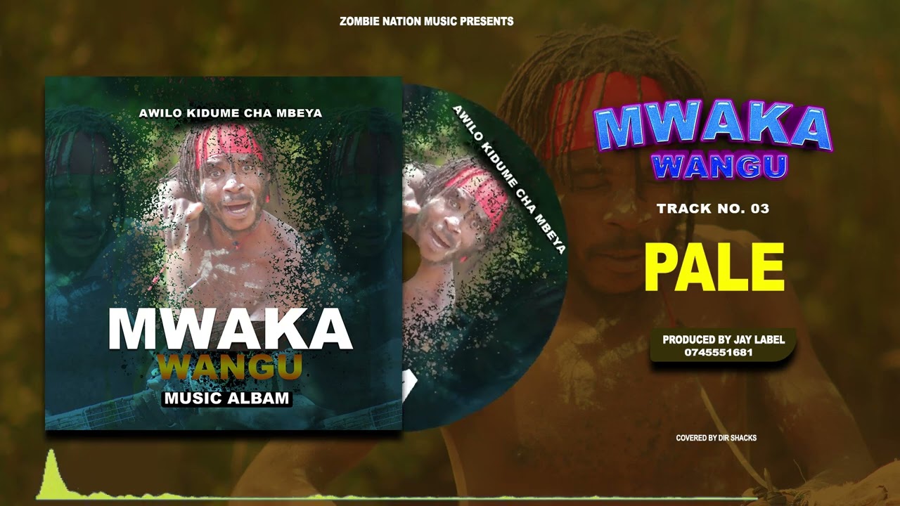 Watch Awilo Kidume Cha Mbeya _ PALE (Official Music Video) business no:+255 745551681 on YouTube Watch Awilo Kidume Cha Mbeya _ PALE (Official Music Video) business no:+255 745551681 on YouTube