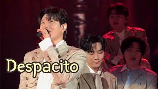 Despacito 2025-26 포레스텔라(Forestella) 콘서트 THE LEGACY in Seoul 251227