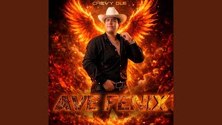 Download Lagu Mr Internacional (En Vivo)