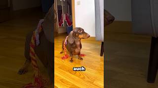 Die Dame lehnte es ab, Zeit mit Sonu zu genießen. #shortvideo