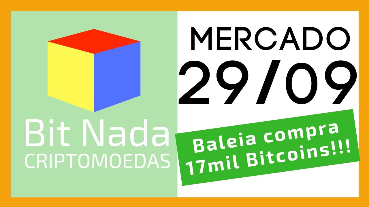 Mercado de Cripto! 29/09 Baleia compra 17mil Bitcoins! Vamos bater um papo sobre baleia/sardinha
