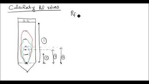 Lab 2 Calculating Rf