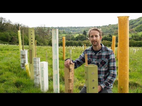 Planting Plastic Free – The Woodland Trust journey