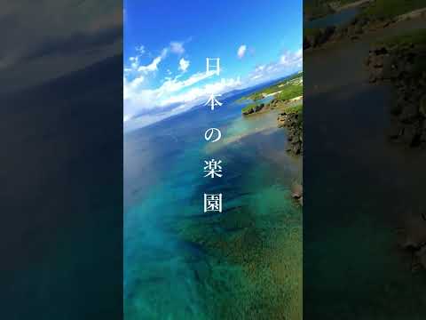 File.49 世界に誇れる沖縄の景色 ここが私の居場所 FPVの世界は楽しい😆