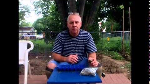 Vermicomposting AKA worm farming part 2 Bedding & feeding