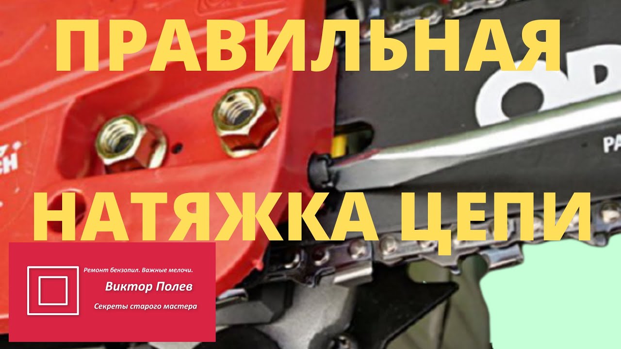 Как натянуть цепь на пиле. Правильная натяжка цепи на бензопиле. Натяжка цепи на электропиле. Запчасти для бензопилы натяжка цепи. Как правильно натянуть цепь на бензопиле EFCO.