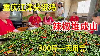 Chongqing Jiangjin Hot Pepper Chicken Store burns a chicken with 3kg of millet and uses 300kg of ch