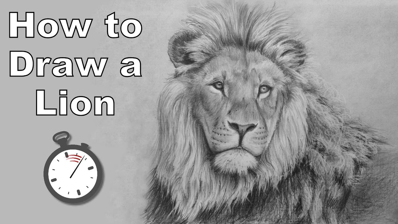 art: Lion Face Pencil Art