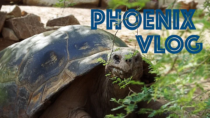 WILD RATTLESNAKES AND GIANT TORTOISES!