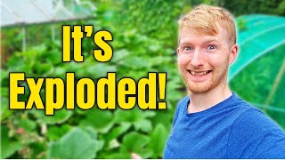 The BIG July Allotment Tour! (Everything Has Exploded)