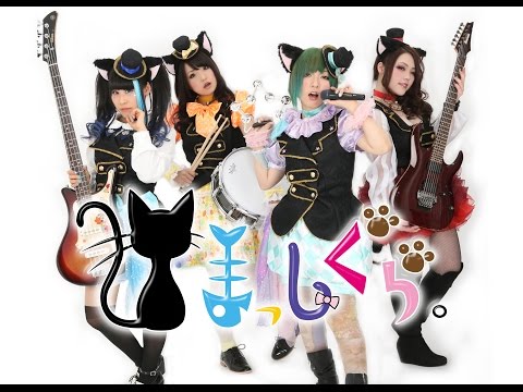 猫まっしぐら。　～迷い猫　振り付け動画～