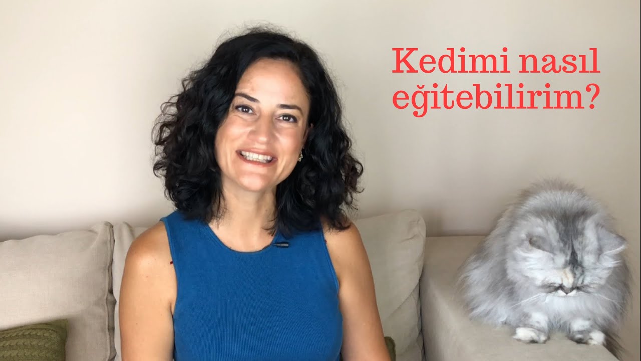 Kedimizi Nasil Egitiriz Yapmasini Istemedigimiz Seyleri Cezasiz Nasil Ogretiriz Mutlaka Seyredin Youtube