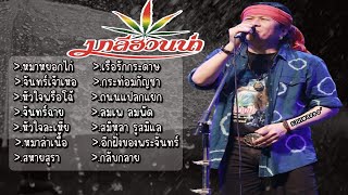 รวมเพลง มาลีฮวนน่า หมาหยอกไก่ จันทร์เจ้าเหอ หัวใจพรือโฉ้ จันทร์ฉาย หัวใจละเหี่ย หมาล่าเนื้อ สหายสุรา