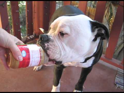 bulldog peanut butter