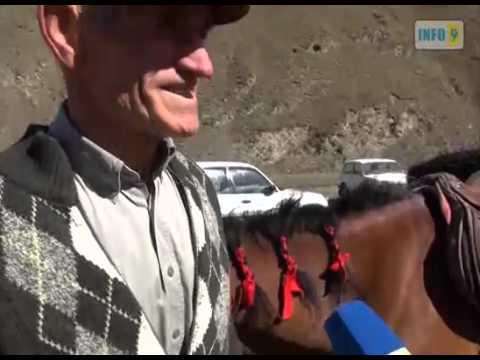 გამარჯვებული მხედარი