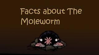 Facts About The Moleworm Dst